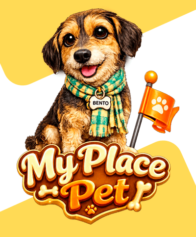Bento, mascote do My Place Pet